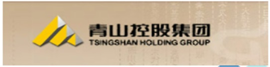Tsingshan Holding Group Co